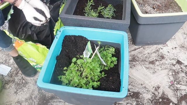 Преображение Балкона❇️ Наводим Красоту?Генеральная Уборка ||Наши Балконные Растения