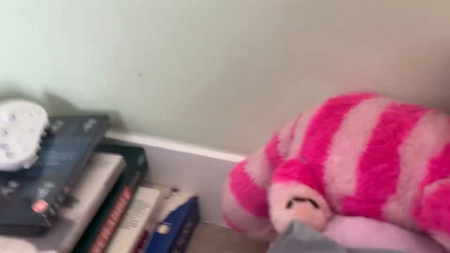 Second haul video of the week from a Jumble Trail. Part Time Ebay reseller. смотреть онлайн