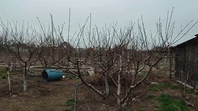 Строительные Шедевры