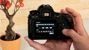 Canon EOS 6D Mark II: недорогая полнокадровая зеркалка