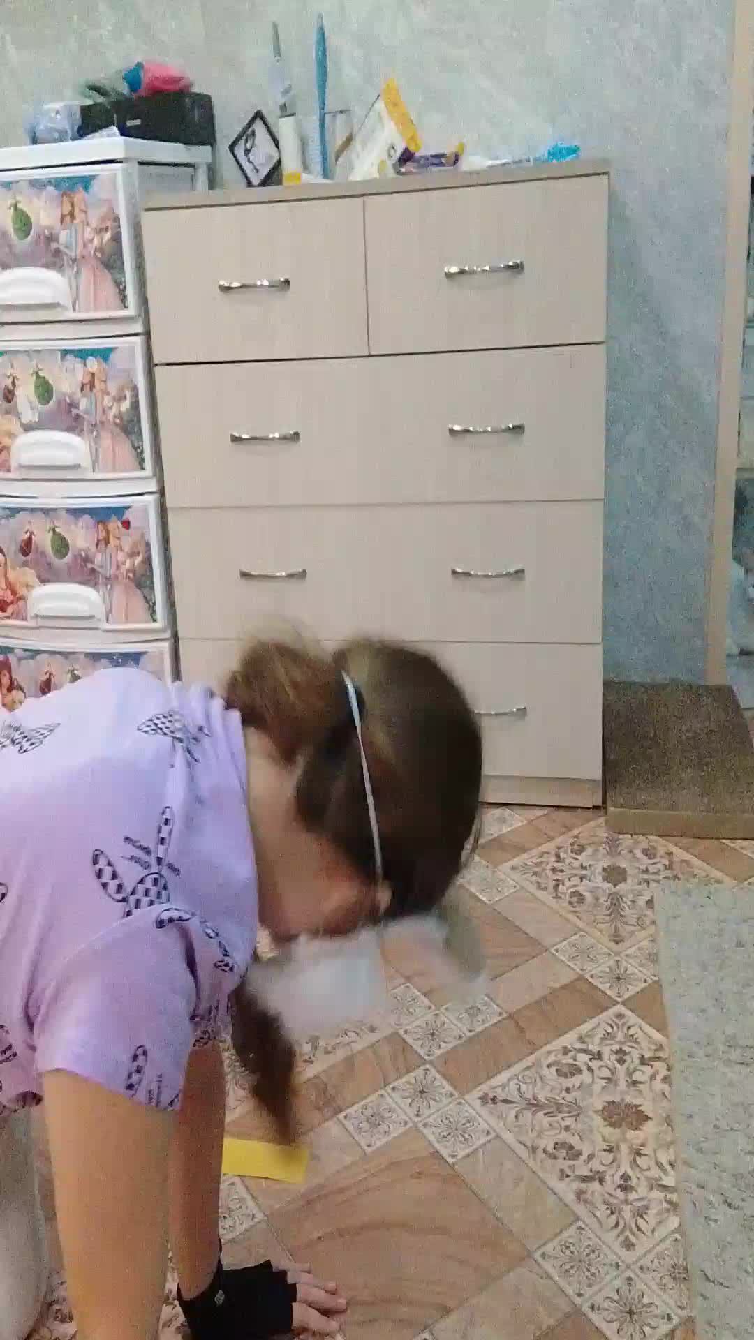 прыжки в длину квадробика