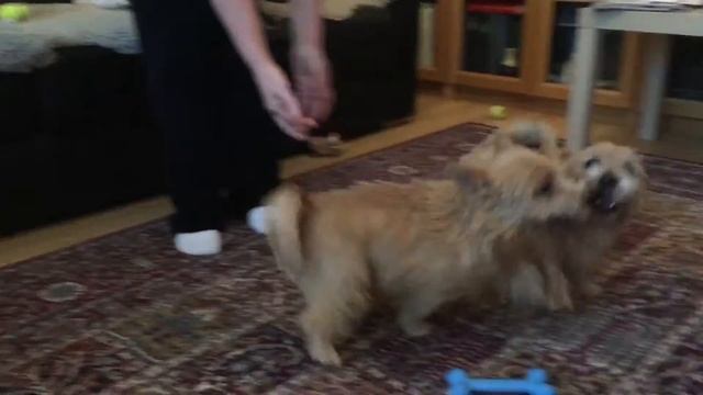 Tilda visiting Eva, Lorika & Zosya смотреть онлайн