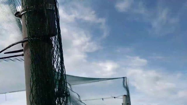Противоградовая сетка своими руками смотреть онлайн