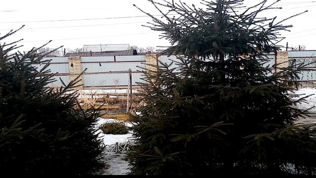 Записки вышивальщицы. ЭСТЭ "Дорогой гость", Панна "Хозяйка тундры", новые наборы и поболтаем смотреть онлайн