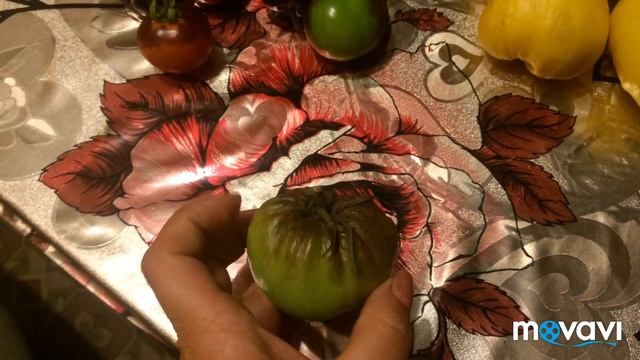 Осенний сорт томатов/чёрный принц/дебаро чёрный смотреть онлайн