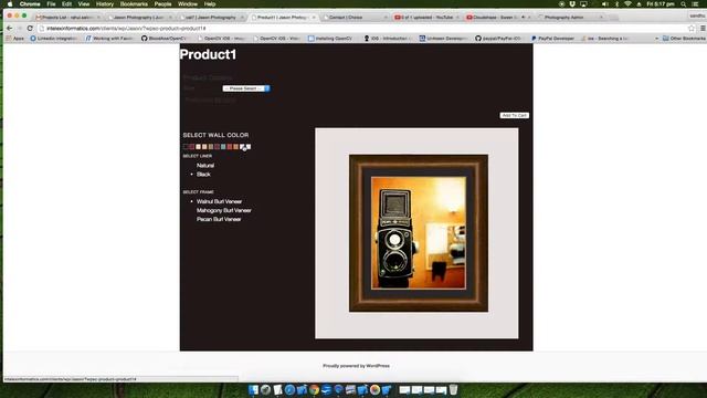 Salentro Json wordpress Project смотреть онлайн