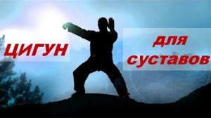 Цигун для позвоночника и суставов. Синг Шен Джуан. Дэвид Шен.
