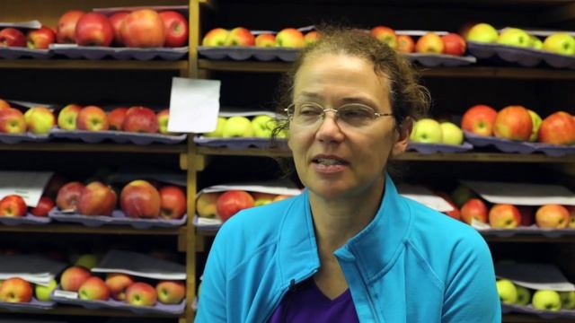 Fruit Testing at the WSU Apple Breeding Program смотреть онлайн