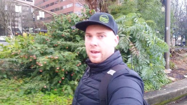 РОЖДЕСТВО в АМЕРИКЕ! смотреть онлайн