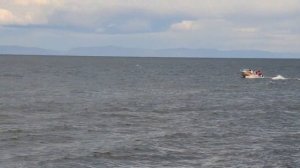 Вельбот 45i WELLBOAT 45i мотолодка