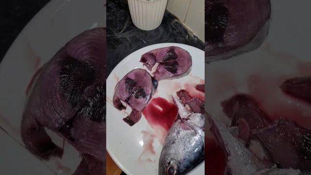 Красные пятна внутри тунца это такой окрас или кровяная гематома? смотреть онлайн