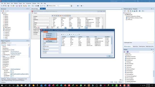 How to use Delphi with Fast Report - End User Report Builder in your Program смотреть онлайн