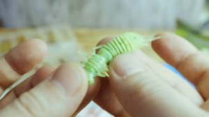 О рыбалке на джиг,с чего начать.Рыбалка на спиннинг.