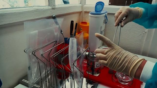 Исследования мясной продукции смотреть онлайн