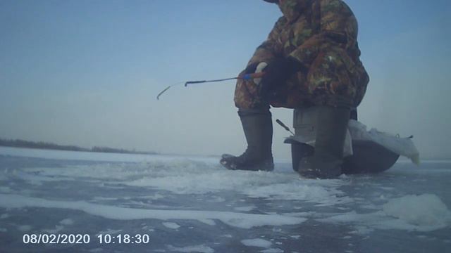 ЗА СУДАКОМ В ГЛУХОЗИМЬЕ 8.02.2020 смотреть онлайн