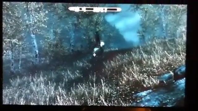 Bug caballo Skyrim смотреть онлайн