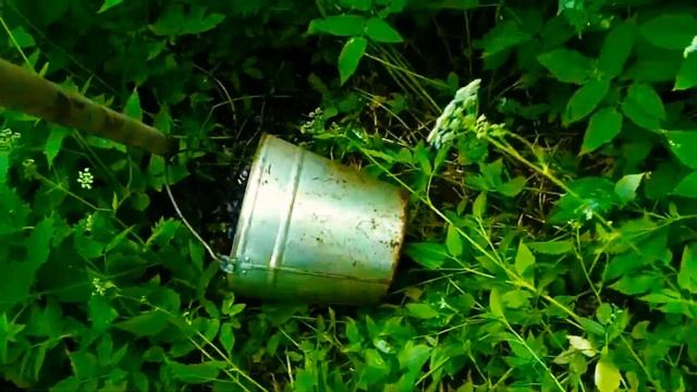 Чищу старый колодец для водопоя поросят. смотреть онлайн