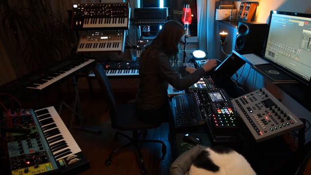 Stay at home concert #20 (Ambient Session & Blade Runner Blues Cover) смотреть онлайн