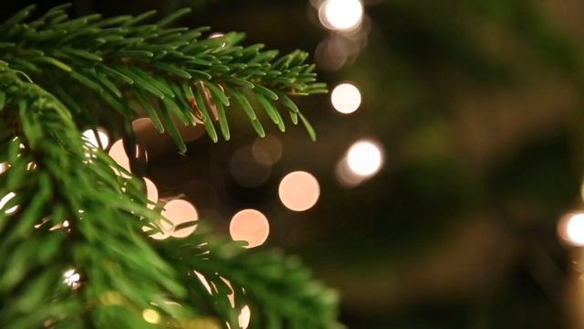 С Добрым зимним утром! Пусть это видео согреет Вас в тот зимний денёк! смотреть онлайн