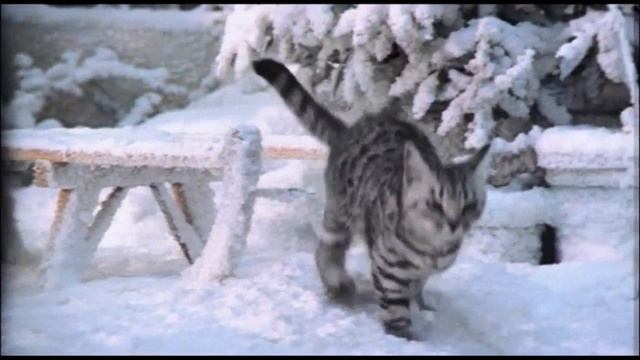 Реклама Whiskas | Вискас - "Новогоднее угощение" смотреть онлайн