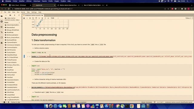 AI Event: How to train a model to classify marine sounds with AI Notebooks? смотреть онлайн