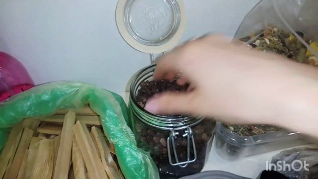 Чем кормить шиншилл? Питание шиншилл. смотреть онлайн