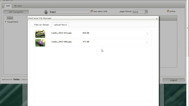jQuery CMS FlexCarver 5.0 смотреть онлайн