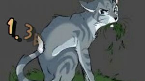 Тест на целителя |коты•воители| ?