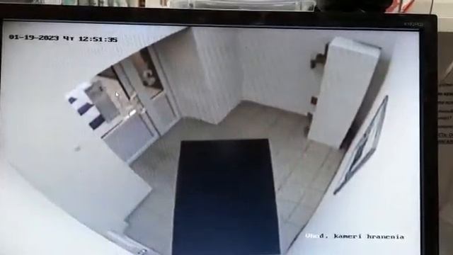 Подкинула щенка в ящик для хранения в Тосно смотреть онлайн