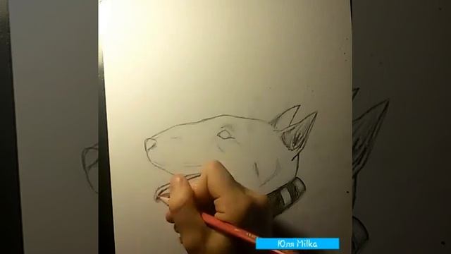 Как нарисовать Бультерьера! смотреть онлайн