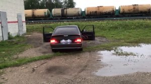 две пары Apocalypse Sylvester AP-M81SE