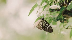 Легкий Атмосферный Drum & Bass (Relaxing music)