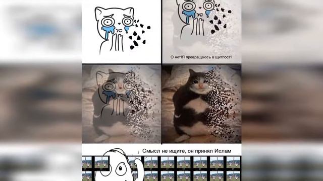 Пользователи Сети делают мемы нормальными смотреть онлайн