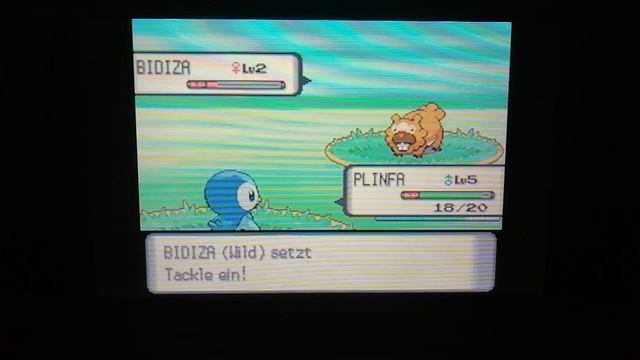 Pokémon Perl Part 2 смотреть онлайн