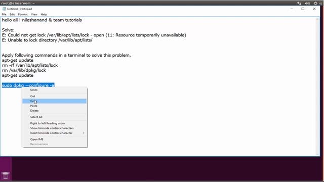 Fixing E: Could not get lock /var/lib/dpkg/lock смотреть онлайн