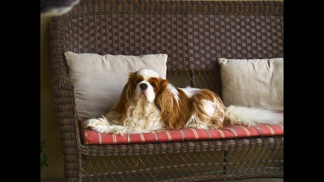 Olympus E 500 смотреть онлайн