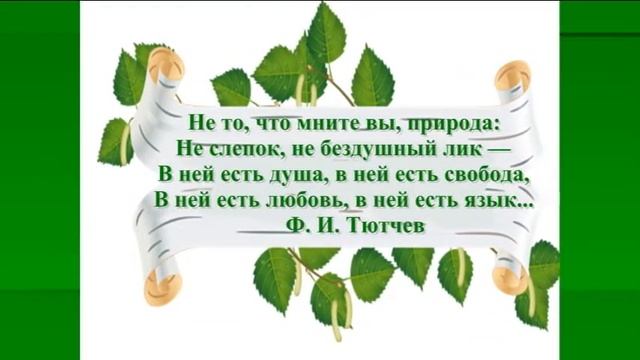 Виртуальная книжная выставка "Я с книгой открываю мир природы" смотреть онлайн