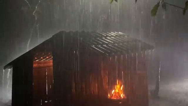 Расслабляющий шум грома и дождя в лесу. Шум дождя и грозы для сна и устранения стресса. смотреть онлайн