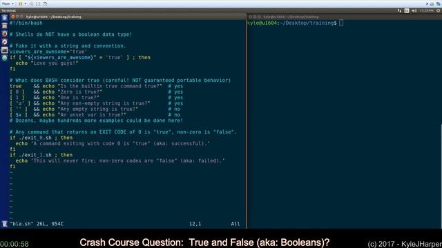 True and False (Booleans) In Shell Scripting смотреть онлайн