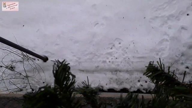 Вы знаете как легко украсить балкон к Новому году?: Мой опыт