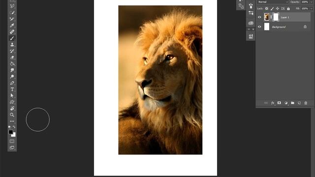 Adobe Photoshop | Photoshop Layer Mask in Sinhala (part 2) - Episode 07 смотреть онлайн