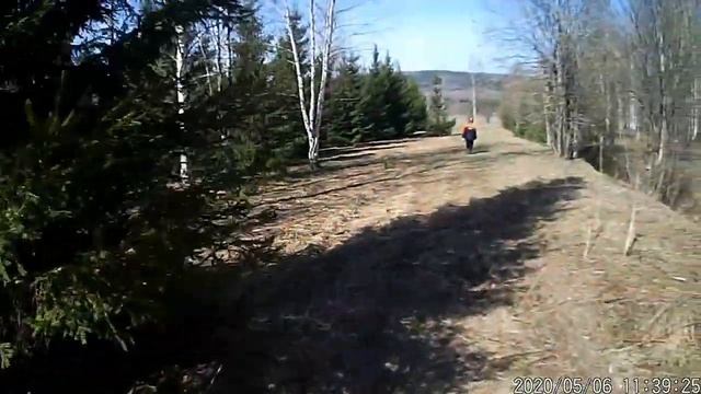 Идём по первые грибы смотреть онлайн