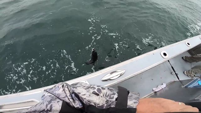 How To Tie A Simple Rig And Catch Lots of Bottom Fish! смотреть онлайн