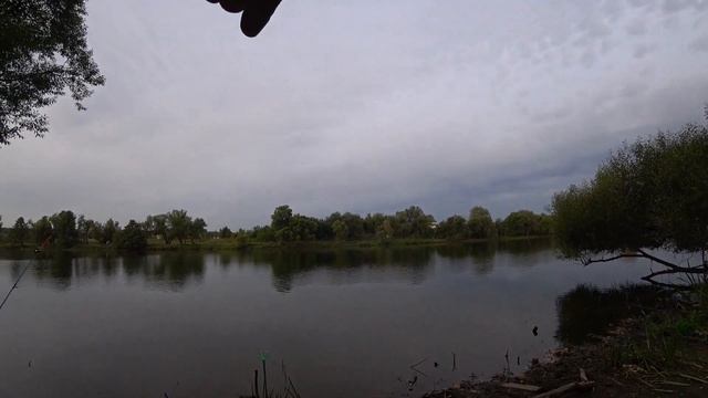 Поймал МОНСТРА на Москва Реке смотреть онлайн