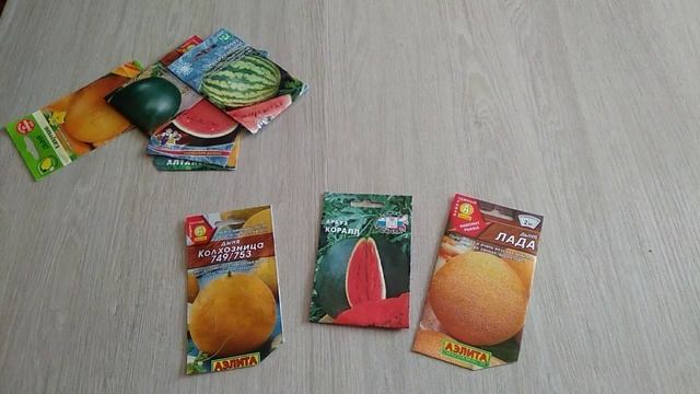 Много дынь и арбузов на маленьком участке смотреть онлайн