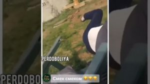 Смех свинофермы!