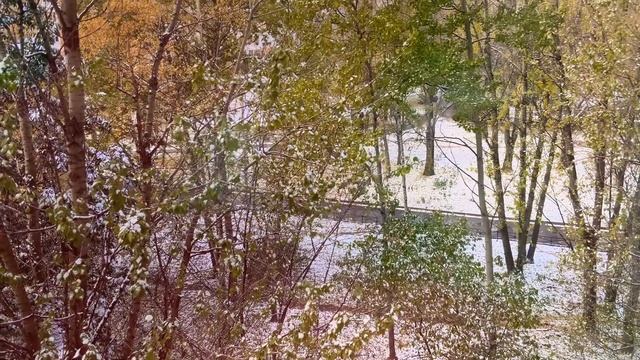 Первый снег изимней сказки всем прекрасного настроения 28.10-0 вот такая красота природы смотреть онлайн