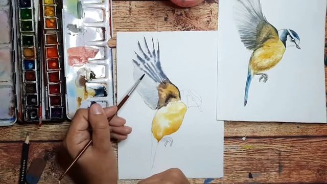 Урок рисования|Как рисовать акварелью|Рисуем птичку смотреть онлайн