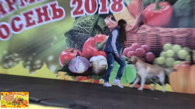 Областная сельскохозяйственная ярмарка "Осень 2018" смотреть онлайн