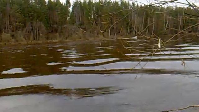 Yamaha 5cmhs + enduro.mp4 смотреть онлайн